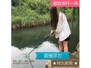 锂电一体单竿,隐蔽式打渔伸缩抄网电杆