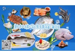 零下18度冷链拼箱海运到新加坡可承接的冷冻食品